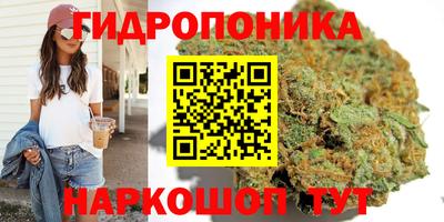 таблы Кимры