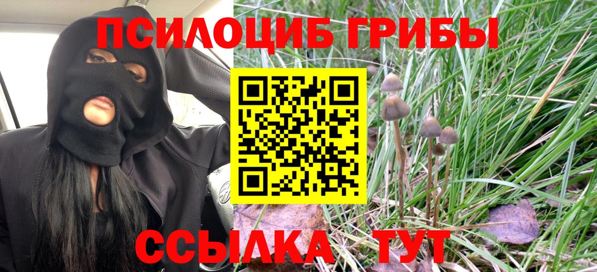 Гашиш  NBOMe  Краснознаменск  ГАШИШ  Вход с VPN  Cocaine  Меф  