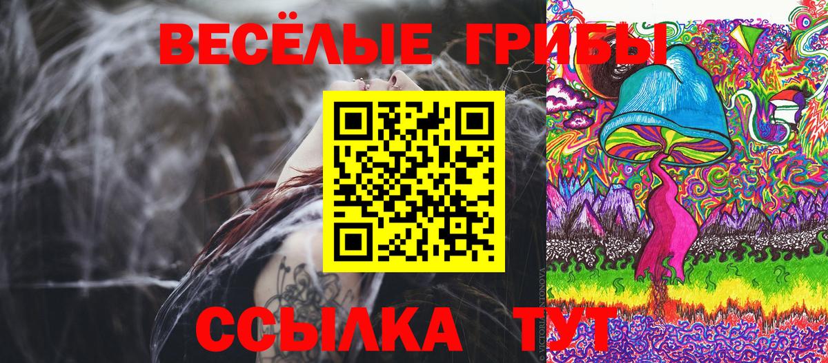 Галлюциногенные грибы мухоморы  Вход с VPN  закладки  Псилоцибиновые грибы GOLDEN TEACHER  Краснознаменск 